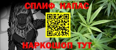 СК Славгород