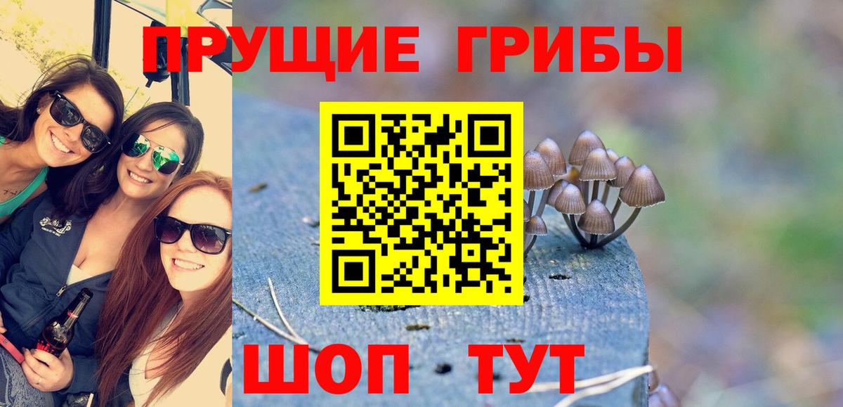 Галлюциногенные грибы прущие грибы  Галлюциногенные грибы прущие грибы  Полевской  Вход с VPN 